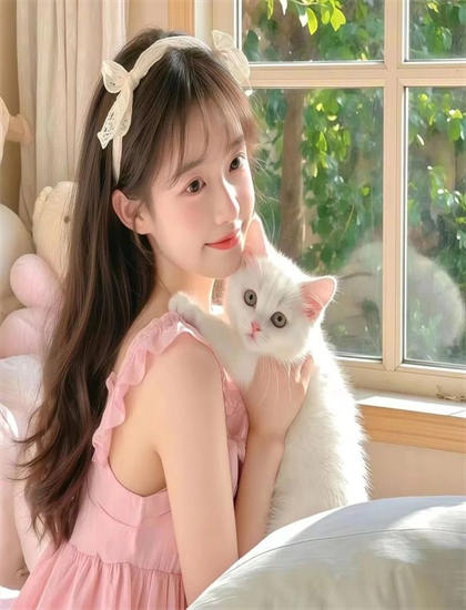 《江南四大才子》媒体评价：主流媒体观点与专业影评解读